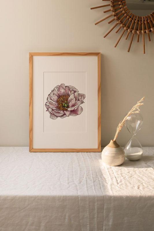 Fine Art collection header Peony art print with wooden frame and matte