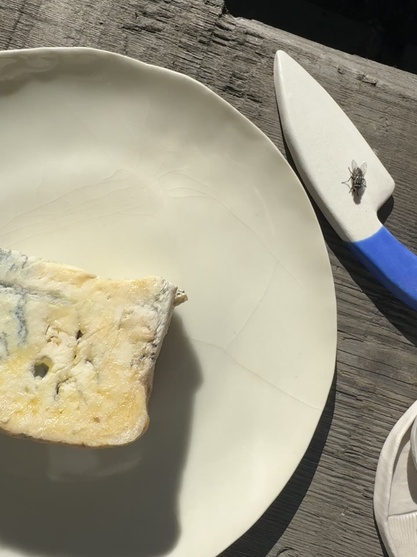 porcelain cheese knife with blue handle